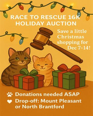 Race to Rescue 16K Holiday Auction